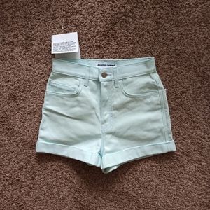 AA Mint Booty Shorts